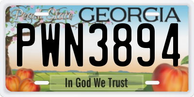 GA license plate PWN3894