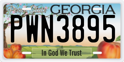 GA license plate PWN3895
