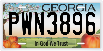 GA license plate PWN3896