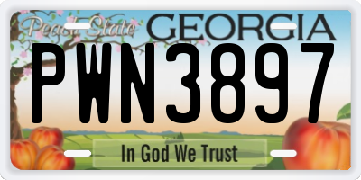 GA license plate PWN3897