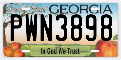 GA license plate PWN3898