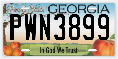 GA license plate PWN3899