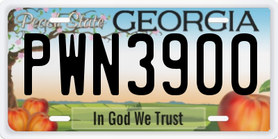 GA license plate PWN3900