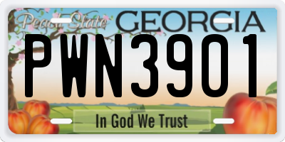 GA license plate PWN3901