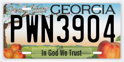 GA license plate PWN3904