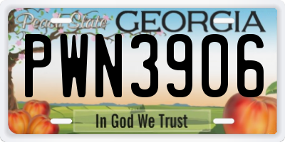 GA license plate PWN3906