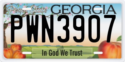 GA license plate PWN3907