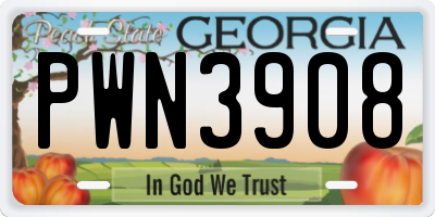 GA license plate PWN3908