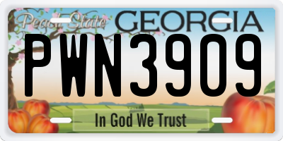 GA license plate PWN3909