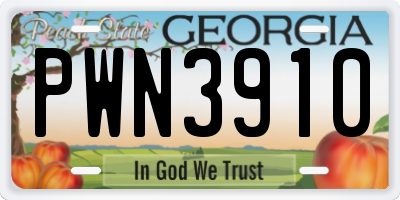GA license plate PWN3910