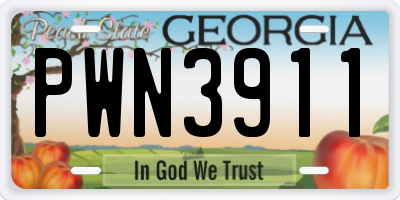 GA license plate PWN3911