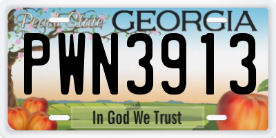 GA license plate PWN3913