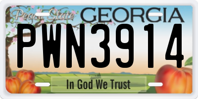 GA license plate PWN3914