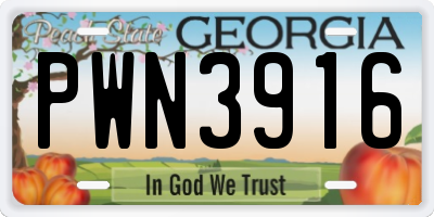 GA license plate PWN3916