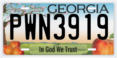 GA license plate PWN3919
