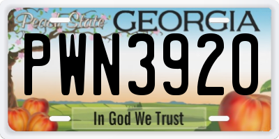 GA license plate PWN3920
