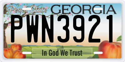 GA license plate PWN3921