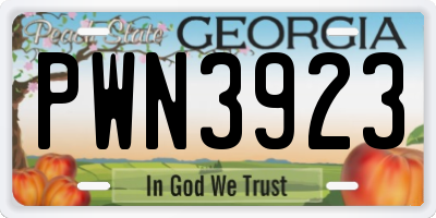 GA license plate PWN3923