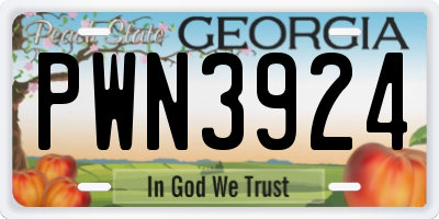 GA license plate PWN3924