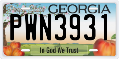 GA license plate PWN3931