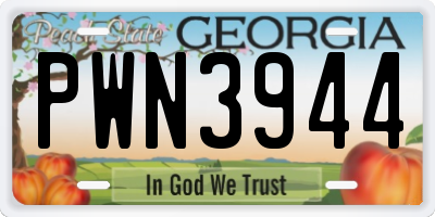 GA license plate PWN3944