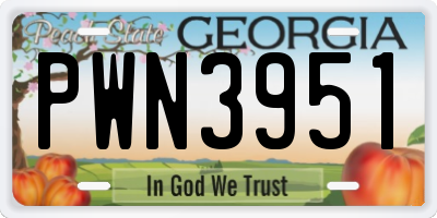 GA license plate PWN3951