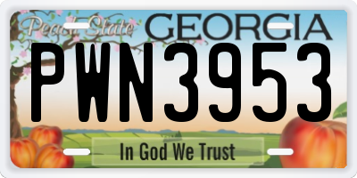 GA license plate PWN3953