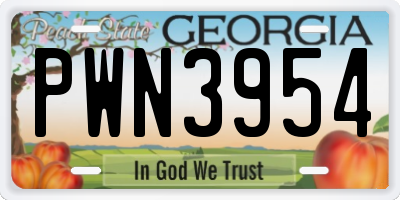 GA license plate PWN3954