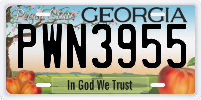 GA license plate PWN3955