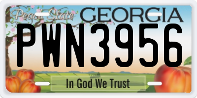 GA license plate PWN3956