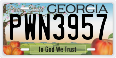 GA license plate PWN3957