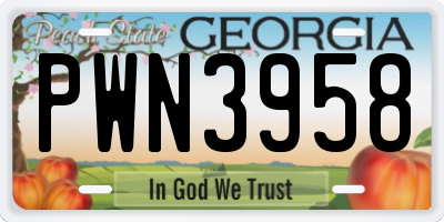 GA license plate PWN3958
