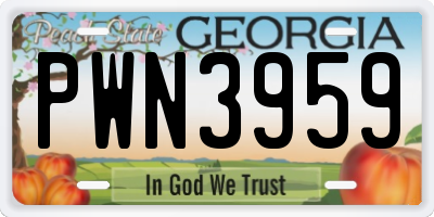 GA license plate PWN3959