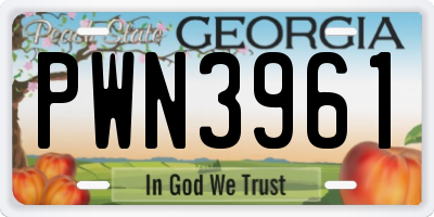 GA license plate PWN3961