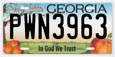 GA license plate PWN3963