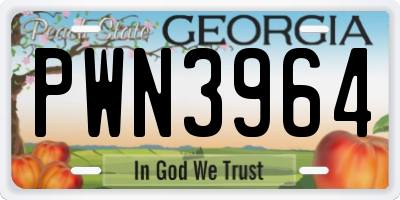 GA license plate PWN3964