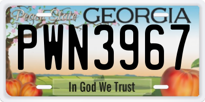 GA license plate PWN3967