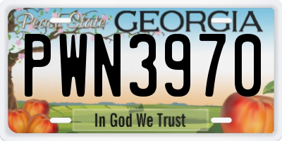 GA license plate PWN3970