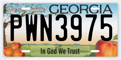 GA license plate PWN3975
