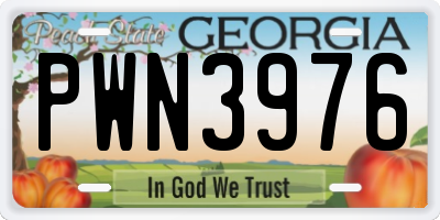GA license plate PWN3976
