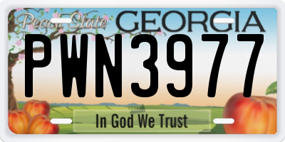 GA license plate PWN3977