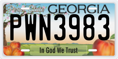 GA license plate PWN3983