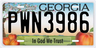 GA license plate PWN3986