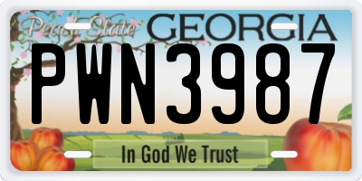 GA license plate PWN3987