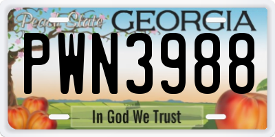 GA license plate PWN3988