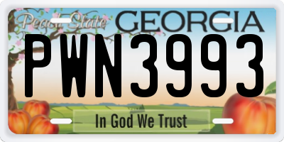 GA license plate PWN3993