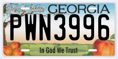 GA license plate PWN3996