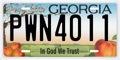 GA license plate PWN4011
