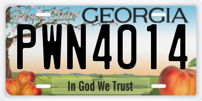 GA license plate PWN4014