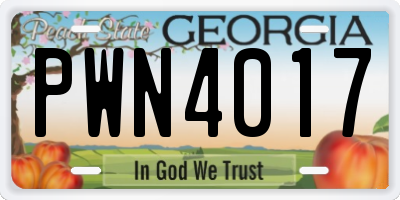 GA license plate PWN4017
